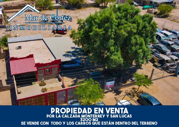 Calzada Monterrey y San Lucas