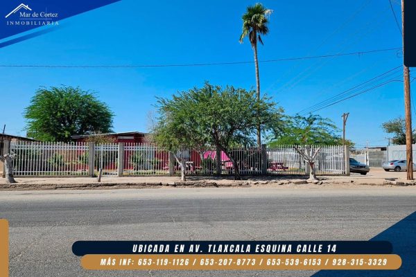 Av. Tlaxcala esquina calle 14 - Image 2