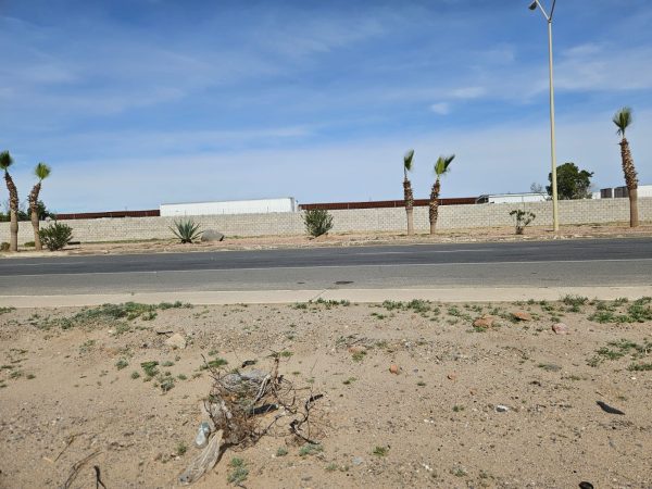 Frente a UES - Av. Obregón - Image 4